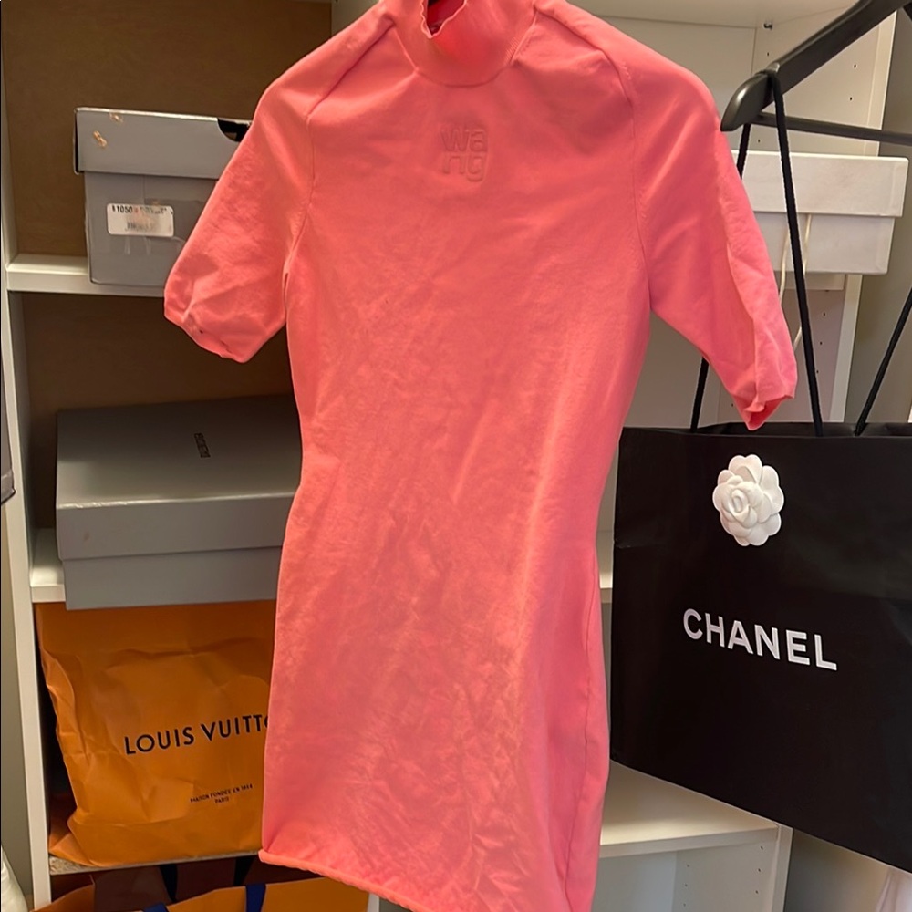 Wang Coral Mini Dress comes with lavish stick lip for a extra 16 dollars